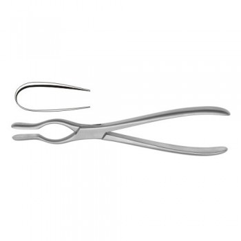 Cottle-Walsham Septum Straightning Forcep Right Stainless Steel, 23 cm - 9"